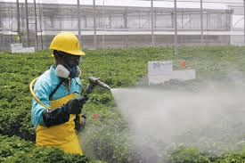 The Benefits of Crop Rotation for Sustainable Agriculture The Benefits of Crop Rotation for Sustainable Agriculture