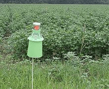 What is Integrated Pest Management? What is Integrated Pest Management
