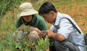 What is Integrated Pest Management? What is Integrated Pest Management