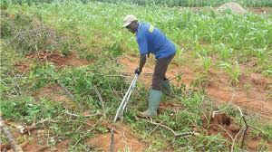 Harvesting Methods of Different Agricultural Produce Harvesting Methods of Different Agricultural Produce