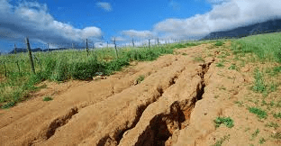 Effective Strategies for Soil Erosion Control