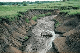 Effective Strategies for Soil Erosion Control