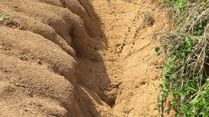 Effective Strategies for Soil Erosion Control