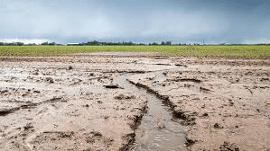 Effective Strategies for Soil Erosion Control