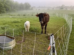 Proper Animal Grazing and Preservation Techniques