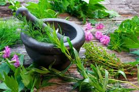 Common Medicinal Plants and Their Properties: A Guide to Nature's Remedies Common Medicinal Plants and Their Properties: A Guide to Nature's Remedies