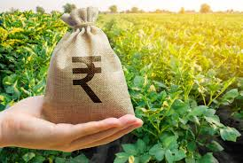 Major Food and Cash Crops Grown Around the World Major Food and Cash Crops Grown Around the World