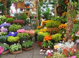 Importance Of Flowers In Horticulture And Ornamental Landscaping