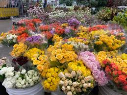 The Global Flower Trade and Industry