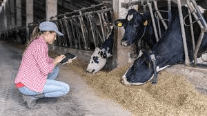 Remove Duplicate Livestock Rearing Guide: Raising Different Animals for Important Uses