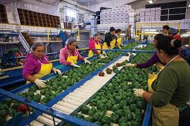 Agricultural Processing Techniques Agricultural Processing Techniques
