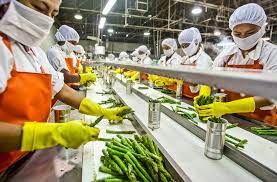 Agricultural Processing Techniques Agricultural Processing Techniques