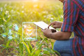 The Role of Technology in Agriculture