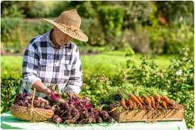 Benefits Of Organic Farming