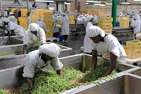 Types of Agro-Processing Industries