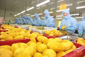 Types of Agro-Processing Industries Types of Agro-Processing Industries