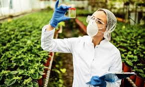 Role of Biotechnology in Agriculture