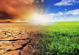 Climate Change: Rising Temperatures And Extreme Weather Events Affecting Crop Yields And Livestock Production