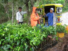 Strategies For Climate-smart Agriculture