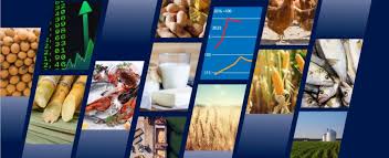 Global Food Demand: The Need For Increased Food Production While Considering Sustainability Concerns