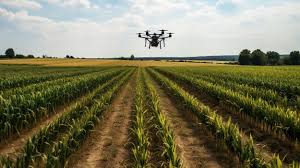 How Precision Agriculture Optimizes Resource Use 