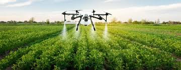 Innovations in agriculture to meet the needs of a growing population