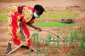 The Challenges Of Water Scarcity in Agriculture and Its Impact On Irrigation 