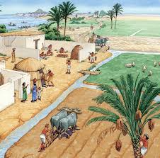 Ancient Agricultural Practices: Techniques That Shaped Civilizations