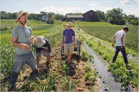 The Role of Agriculture in Employment Generation