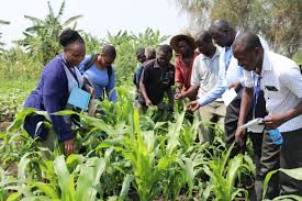 The Vital Role of Agriculture in Economic Development