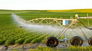 Innovative Farming Techniques for Sustainable Agriculture