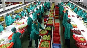 The Importance of Agro-Processing in Agriculture