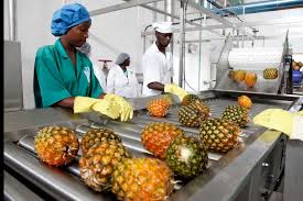 The Importance of Agro-Processing in Agriculture