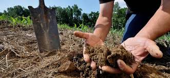 Farm Maintenance Techniques