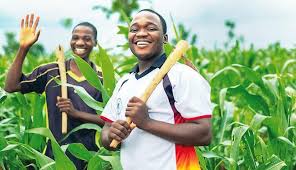 Definition and Importance of Agriculture Definition and Importance of Agriculture