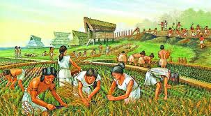 Historical Development of Agriculture Historical Development of Agriculture