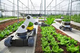 Historical Development of Agriculture Historical Development of Agriculture