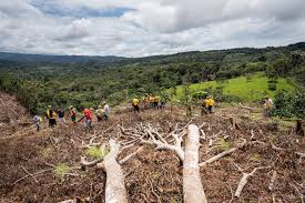 Deforestation for agricultural land expansion