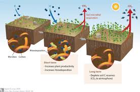 Carbon sequestration potential 