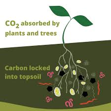 Carbon sequestration potential 