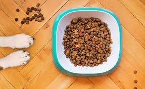 Types of Dog Food