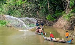 Understanding Inland Fisheries: A Guide to Freshwater Fish Farming