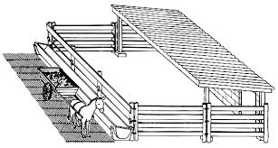 Cattle Housing and Facilities Management Guide