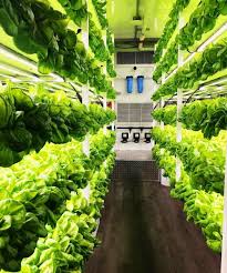 The Benefits Of Vertical Farming