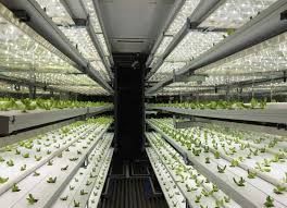 The Benefits Of Vertical Farming