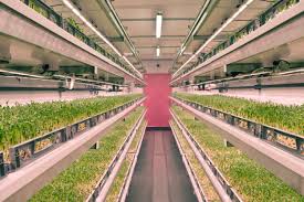 The Benefits Of Vertical Farming