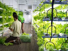 The Benefits Of Vertical Farming