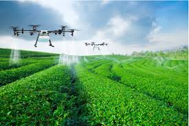 The Potential Limitations Of Precision Agriculture