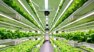 Challenges Of Vertical Farming