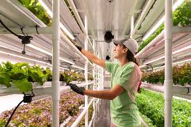 Challenges Of Vertical Farming